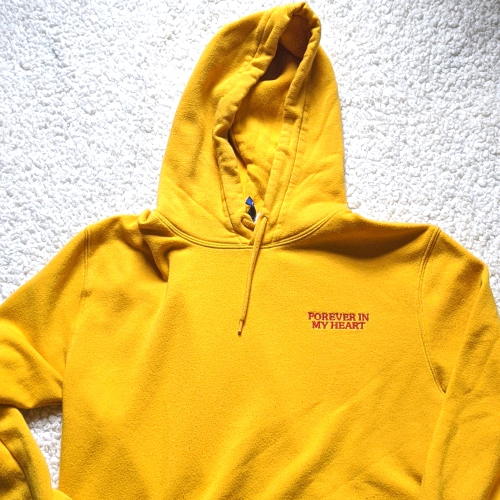 Mens Hoodie/jacket h&m